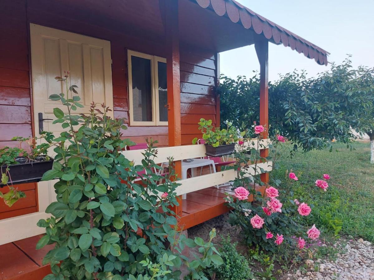Pensiunea Raluca Mahmudia Exterior foto