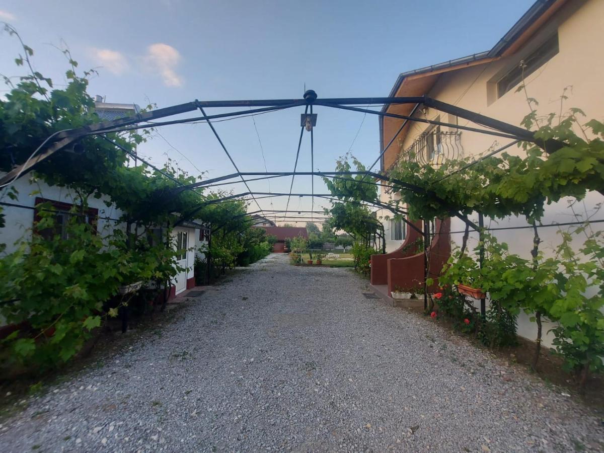 Pensiunea Raluca Mahmudia Exterior foto