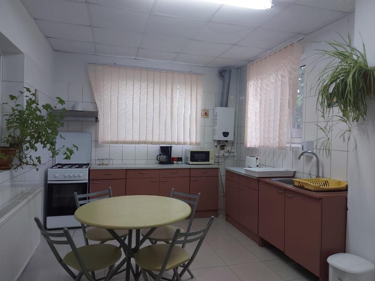 Pensiunea Raluca Mahmudia Exterior foto