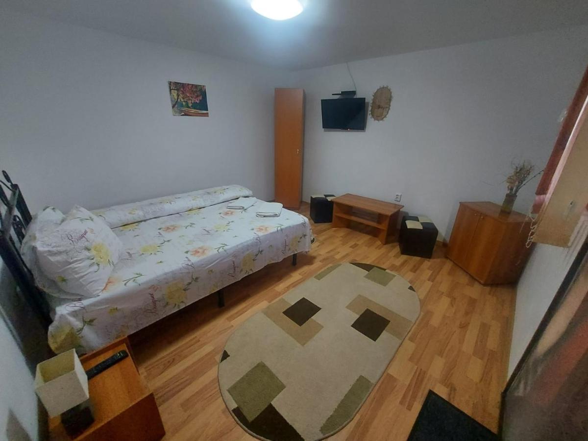 Pensiunea Raluca Mahmudia Exterior foto