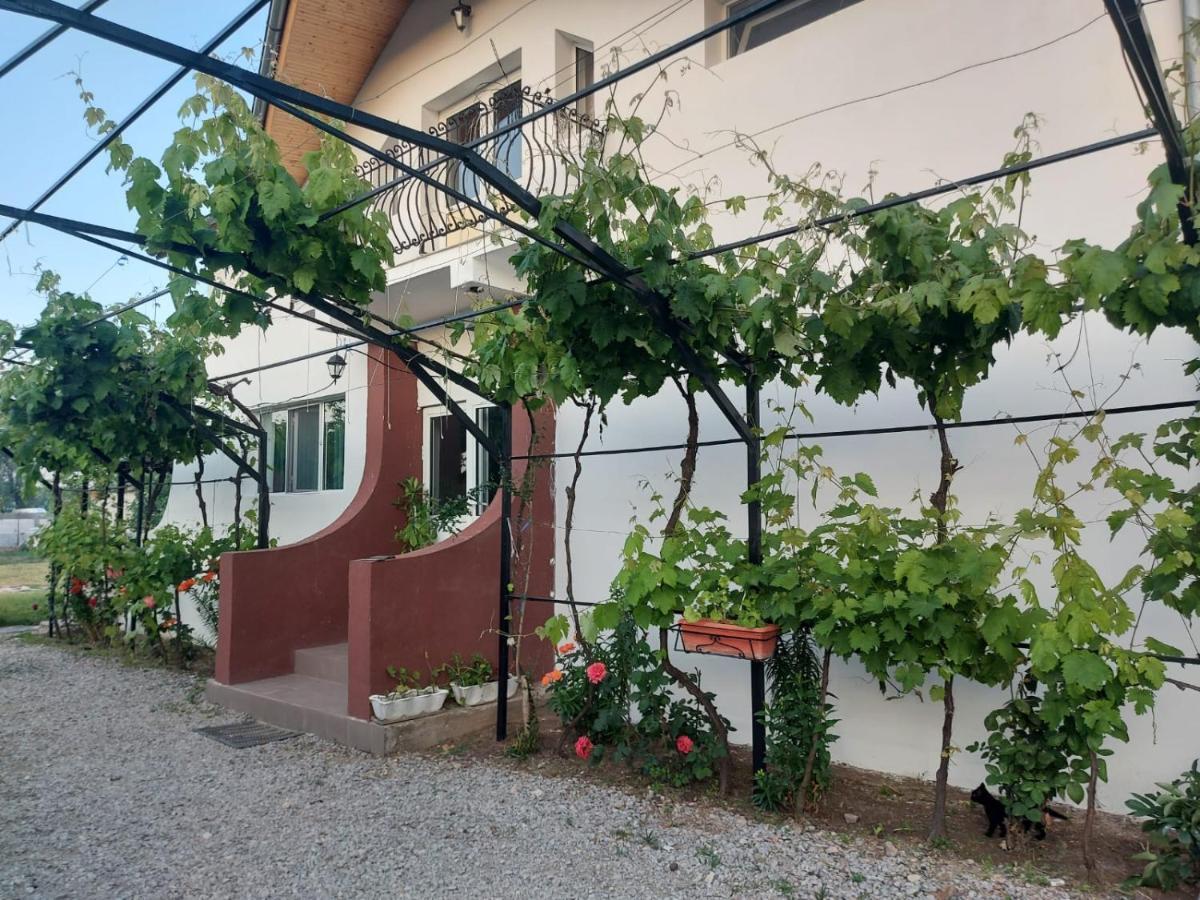 Pensiunea Raluca Mahmudia Exterior foto